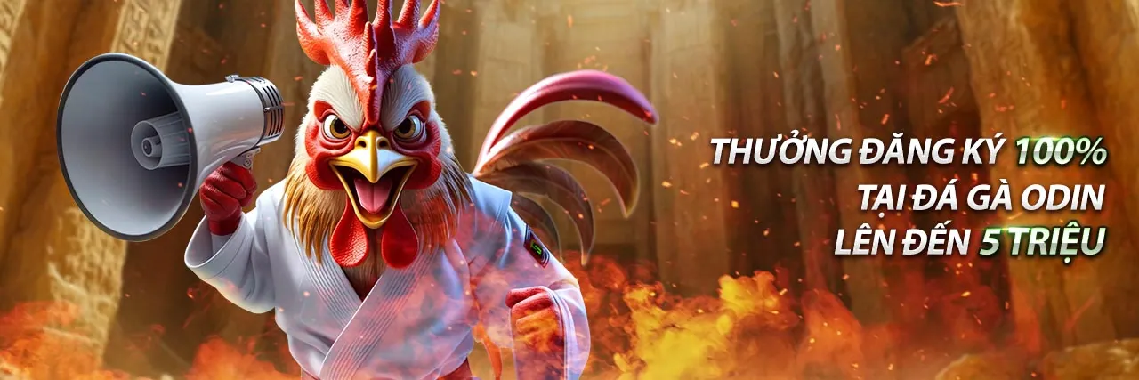 Hình ảnh đại diện cho tuân thủ GDPR và bảo mật dữ liệu tại 68win14